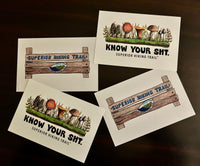 Superior Hiking Trail Anni Friesen Postcard Set