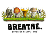 Superior Hiking Trail Anni Friesen Notecard Set